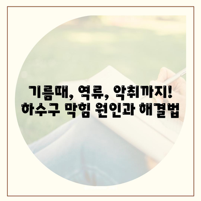 하수구막힘 | 가격 | 비용 | 기름제거 | 싱크대 | 변기 | 세면대 | 역류 | 냄새차단 | 2024 후기