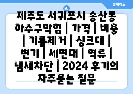 제주도 서귀포시 송산동 하수구막힘 | 가격 | 비용 | 기름제거 | 싱크대 | 변기 | 세면대 | 역류 | 냄새차단 | 2024 후기