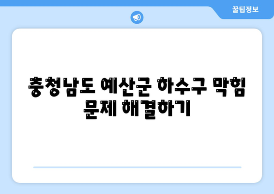 충청남도 예산군 고덕면 하수구막힘 | 가격 | 비용 | 기름제거 | 싱크대 | 변기 | 세면대 | 역류 | 냄새차단 | 2024 후기