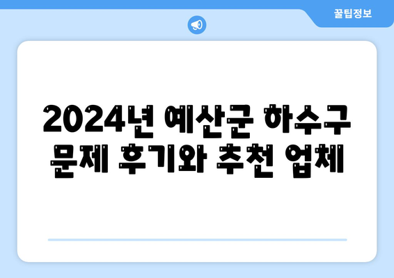 충청남도 예산군 예산읍 하수구막힘 | 가격 | 비용 | 기름제거 | 싱크대 | 변기 | 세면대 | 역류 | 냄새차단 | 2024 후기