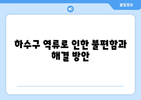 제주도 제주시 노형동 하수구막힘 | 가격 | 비용 | 기름제거 | 싱크대 | 변기 | 세면대 | 역류 | 냄새차단 | 2024 후기