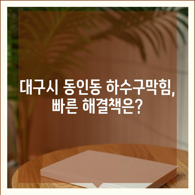 대구시 중구 동인동 하수구막힘 | 가격 | 비용 | 기름제거 | 싱크대 | 변기 | 세면대 | 역류 | 냄새차단 | 2024 후기