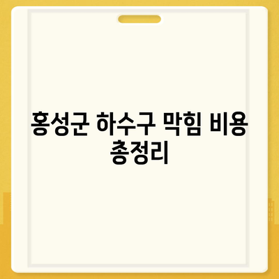 충청남도 홍성군 광천읍 하수구막힘 | 가격 | 비용 | 기름제거 | 싱크대 | 변기 | 세면대 | 역류 | 냄새차단 | 2024 후기