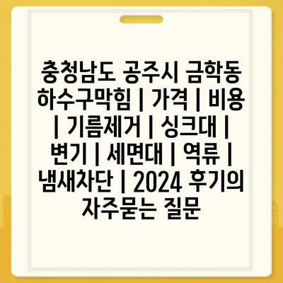 충청남도 공주시 금학동 하수구막힘 | 가격 | 비용 | 기름제거 | 싱크대 | 변기 | 세면대 | 역류 | 냄새차단 | 2024 후기