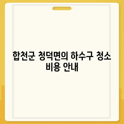 경상남도 합천군 청덕면 하수구막힘 | 가격 | 비용 | 기름제거 | 싱크대 | 변기 | 세면대 | 역류 | 냄새차단 | 2024 후기