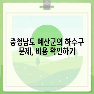 충청남도 예산군 광시면 하수구막힘 | 가격 | 비용 | 기름제거 | 싱크대 | 변기 | 세면대 | 역류 | 냄새차단 | 2024 후기