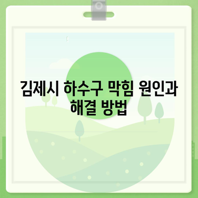 전라북도 김제시 검산동 하수구막힘 | 가격 | 비용 | 기름제거 | 싱크대 | 변기 | 세면대 | 역류 | 냄새차단 | 2024 후기