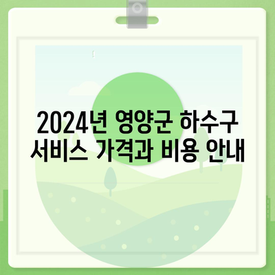 경상북도 영양군 청기면 하수구막힘 | 가격 | 비용 | 기름제거 | 싱크대 | 변기 | 세면대 | 역류 | 냄새차단 | 2024 후기