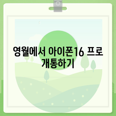 강원도 영월군 영월읍 아이폰16 프로 사전예약 | 출시일 | 가격 | PRO | SE1 | 디자인 | 프로맥스 | 색상 | 미니 | 개통