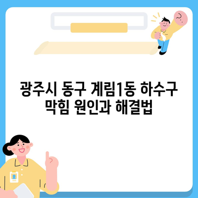 광주시 동구 계림1동 하수구막힘 | 가격 | 비용 | 기름제거 | 싱크대 | 변기 | 세면대 | 역류 | 냄새차단 | 2024 후기