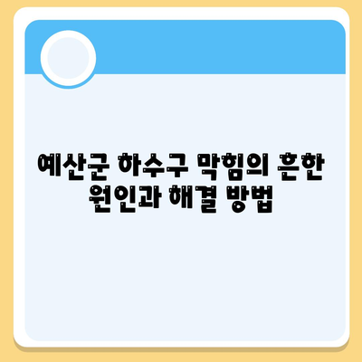 충청남도 예산군 예산읍 하수구막힘 | 가격 | 비용 | 기름제거 | 싱크대 | 변기 | 세면대 | 역류 | 냄새차단 | 2024 후기