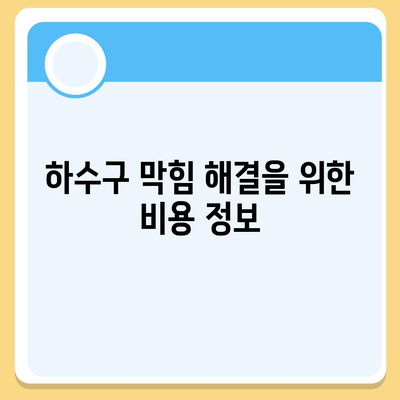 대전시 동구 자양동 하수구막힘 | 가격 | 비용 | 기름제거 | 싱크대 | 변기 | 세면대 | 역류 | 냄새차단 | 2024 후기