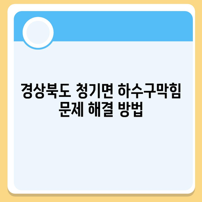 경상북도 영양군 청기면 하수구막힘 | 가격 | 비용 | 기름제거 | 싱크대 | 변기 | 세면대 | 역류 | 냄새차단 | 2024 후기