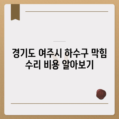 경기도 여주시 금사면 하수구막힘 | 가격 | 비용 | 기름제거 | 싱크대 | 변기 | 세면대 | 역류 | 냄새차단 | 2024 후기