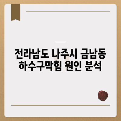 전라남도 나주시 금남동 하수구막힘 | 가격 | 비용 | 기름제거 | 싱크대 | 변기 | 세면대 | 역류 | 냄새차단 | 2024 후기