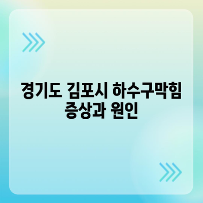 경기도 김포시 운양동 하수구막힘 | 가격 | 비용 | 기름제거 | 싱크대 | 변기 | 세면대 | 역류 | 냄새차단 | 2024 후기