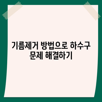 대전시 유성구 어은동 하수구막힘 | 가격 | 비용 | 기름제거 | 싱크대 | 변기 | 세면대 | 역류 | 냄새차단 | 2024 후기