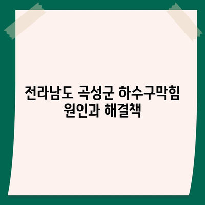 전라남도 곡성군 오산면 하수구막힘 | 가격 | 비용 | 기름제거 | 싱크대 | 변기 | 세면대 | 역류 | 냄새차단 | 2024 후기