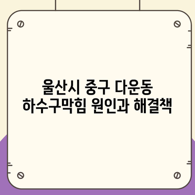 울산시 중구 다운동 하수구막힘 | 가격 | 비용 | 기름제거 | 싱크대 | 변기 | 세면대 | 역류 | 냄새차단 | 2024 후기