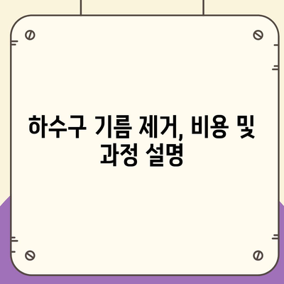 광주시 동구 산수1동 하수구막힘 | 가격 | 비용 | 기름제거 | 싱크대 | 변기 | 세면대 | 역류 | 냄새차단 | 2024 후기