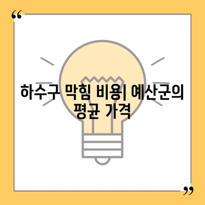 충청남도 예산군 광시면 하수구막힘 | 가격 | 비용 | 기름제거 | 싱크대 | 변기 | 세면대 | 역류 | 냄새차단 | 2024 후기