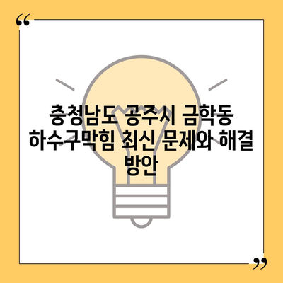 충청남도 공주시 금학동 하수구막힘 | 가격 | 비용 | 기름제거 | 싱크대 | 변기 | 세면대 | 역류 | 냄새차단 | 2024 후기