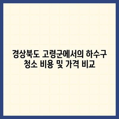 경상북도 고령군 성산면 하수구막힘 | 가격 | 비용 | 기름제거 | 싱크대 | 변기 | 세면대 | 역류 | 냄새차단 | 2024 후기