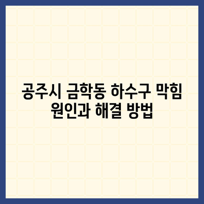 충청남도 공주시 금학동 하수구막힘 | 가격 | 비용 | 기름제거 | 싱크대 | 변기 | 세면대 | 역류 | 냄새차단 | 2024 후기