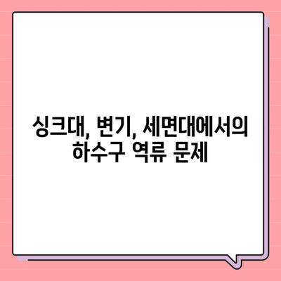 대전시 유성구 어은동 하수구막힘 | 가격 | 비용 | 기름제거 | 싱크대 | 변기 | 세면대 | 역류 | 냄새차단 | 2024 후기