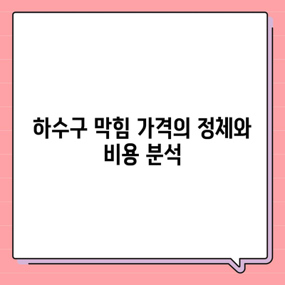 인천시 중구 연안동 하수구막힘 | 가격 | 비용 | 기름제거 | 싱크대 | 변기 | 세면대 | 역류 | 냄새차단 | 2024 후기