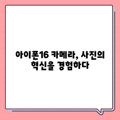 아이폰16 후면 카메라, 새로운 주요 센서로 놀라운 선명도