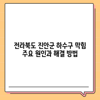 전라북도 진안군 마령면 하수구막힘 | 가격 | 비용 | 기름제거 | 싱크대 | 변기 | 세면대 | 역류 | 냄새차단 | 2024 후기