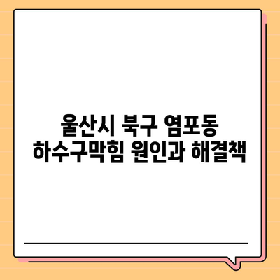 울산시 북구 염포동 하수구막힘 | 가격 | 비용 | 기름제거 | 싱크대 | 변기 | 세면대 | 역류 | 냄새차단 | 2024 후기