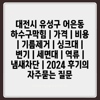 대전시 유성구 어은동 하수구막힘 | 가격 | 비용 | 기름제거 | 싱크대 | 변기 | 세면대 | 역류 | 냄새차단 | 2024 후기