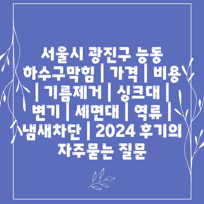 서울시 광진구 능동 하수구막힘 | 가격 | 비용 | 기름제거 | 싱크대 | 변기 | 세면대 | 역류 | 냄새차단 | 2024 후기