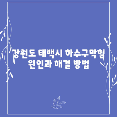 강원도 태백시 문곡소도동 하수구막힘 | 가격 | 비용 | 기름제거 | 싱크대 | 변기 | 세면대 | 역류 | 냄새차단 | 2024 후기