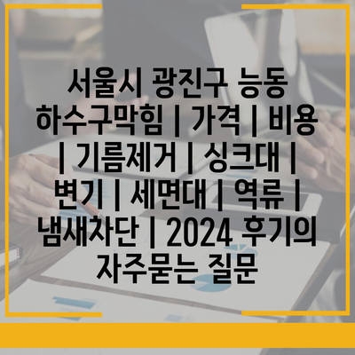 서울시 광진구 능동 하수구막힘 | 가격 | 비용 | 기름제거 | 싱크대 | 변기 | 세면대 | 역류 | 냄새차단 | 2024 후기