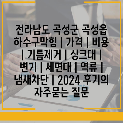 전라남도 곡성군 곡성읍 하수구막힘 | 가격 | 비용 | 기름제거 | 싱크대 | 변기 | 세면대 | 역류 | 냄새차단 | 2024 후기