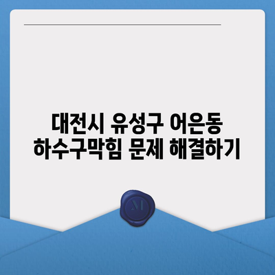 대전시 유성구 어은동 하수구막힘 | 가격 | 비용 | 기름제거 | 싱크대 | 변기 | 세면대 | 역류 | 냄새차단 | 2024 후기