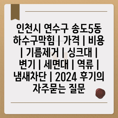 인천시 연수구 송도5동 하수구막힘 | 가격 | 비용 | 기름제거 | 싱크대 | 변기 | 세면대 | 역류 | 냄새차단 | 2024 후기