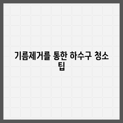 대전시 중구 대흥동 하수구막힘 | 가격 | 비용 | 기름제거 | 싱크대 | 변기 | 세면대 | 역류 | 냄새차단 | 2024 후기