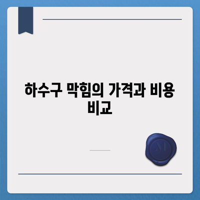 대전시 유성구 어은동 하수구막힘 | 가격 | 비용 | 기름제거 | 싱크대 | 변기 | 세면대 | 역류 | 냄새차단 | 2024 후기