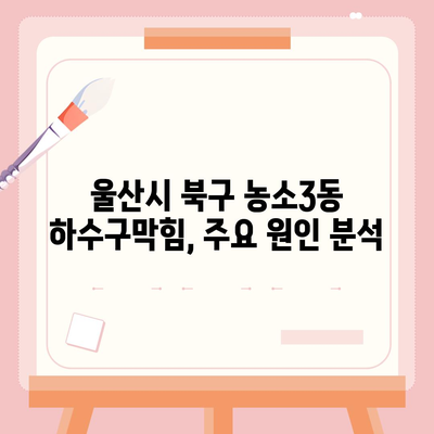 울산시 북구 농소3동 하수구막힘 | 가격 | 비용 | 기름제거 | 싱크대 | 변기 | 세면대 | 역류 | 냄새차단 | 2024 후기