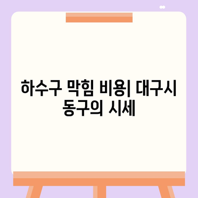 대구시 동구 공산동 하수구막힘 | 가격 | 비용 | 기름제거 | 싱크대 | 변기 | 세면대 | 역류 | 냄새차단 | 2024 후기