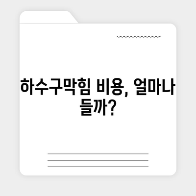 대전시 서구 변동 하수구막힘 | 가격 | 비용 | 기름제거 | 싱크대 | 변기 | 세면대 | 역류 | 냄새차단 | 2024 후기