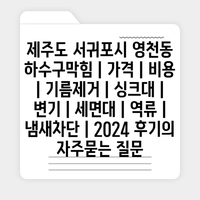 제주도 서귀포시 영천동 하수구막힘 | 가격 | 비용 | 기름제거 | 싱크대 | 변기 | 세면대 | 역류 | 냄새차단 | 2024 후기