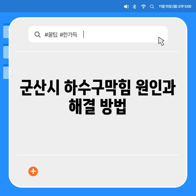 전라북도 군산시 문화동 하수구막힘 | 가격 | 비용 | 기름제거 | 싱크대 | 변기 | 세면대 | 역류 | 냄새차단 | 2024 후기