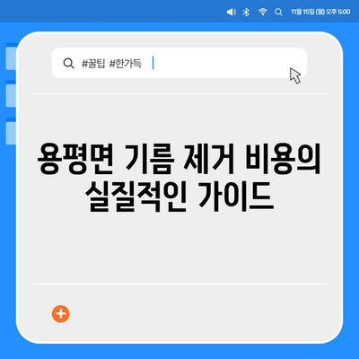 강원도 평창군 용평면 하수구막힘 | 가격 | 비용 | 기름제거 | 싱크대 | 변기 | 세면대 | 역류 | 냄새차단 | 2024 후기