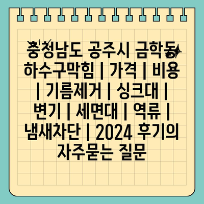 충청남도 공주시 금학동 하수구막힘 | 가격 | 비용 | 기름제거 | 싱크대 | 변기 | 세면대 | 역류 | 냄새차단 | 2024 후기