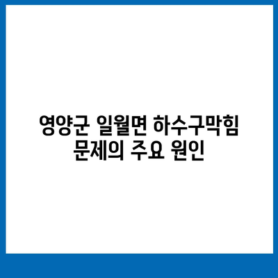 경상북도 영양군 일월면 하수구막힘 | 가격 | 비용 | 기름제거 | 싱크대 | 변기 | 세면대 | 역류 | 냄새차단 | 2024 후기